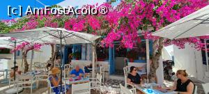 [P89] La pas prin Pounda, Antiparos » foto by irinad
 - 
<span class="allrVoted glyphicon glyphicon-heart hidden" id="av1526179"></span>
<a class="m-l-10 hidden" id="sv1526179" onclick="voting_Foto_DelVot(,1526179,17461)" role="button">șterge vot <span class="glyphicon glyphicon-remove"></span></a>
<a id="v91526179" class=" c-red"  onclick="voting_Foto_SetVot(1526179)" role="button"><span class="glyphicon glyphicon-heart-empty"></span> <b>LIKE</b> = Votează poza</a> <img class="hidden"  id="f1526179W9" src="/imagini/loader.gif" border="0" /><span class="AjErrMes hidden" id="e1526179ErM"></span>