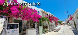 [P90] La pas prin Pounda, Antiparos » foto by irinad
 - 
<span class="allrVoted glyphicon glyphicon-heart hidden" id="av1526180"></span>
<a class="m-l-10 hidden" id="sv1526180" onclick="voting_Foto_DelVot(,1526180,17461)" role="button">șterge vot <span class="glyphicon glyphicon-remove"></span></a>
<a id="v91526180" class=" c-red"  onclick="voting_Foto_SetVot(1526180)" role="button"><span class="glyphicon glyphicon-heart-empty"></span> <b>LIKE</b> = Votează poza</a> <img class="hidden"  id="f1526180W9" src="/imagini/loader.gif" border="0" /><span class="AjErrMes hidden" id="e1526180ErM"></span>