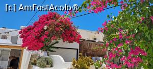 [P92] La pas prin Pounda, Antiparos » foto by irinad
 - 
<span class="allrVoted glyphicon glyphicon-heart hidden" id="av1526182"></span>
<a class="m-l-10 hidden" id="sv1526182" onclick="voting_Foto_DelVot(,1526182,17461)" role="button">șterge vot <span class="glyphicon glyphicon-remove"></span></a>
<a id="v91526182" class=" c-red"  onclick="voting_Foto_SetVot(1526182)" role="button"><span class="glyphicon glyphicon-heart-empty"></span> <b>LIKE</b> = Votează poza</a> <img class="hidden"  id="f1526182W9" src="/imagini/loader.gif" border="0" /><span class="AjErrMes hidden" id="e1526182ErM"></span>