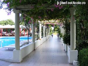 [P05] Aleea principala de la intrarea in curtea hotelului. Fotografie facuta la iesirea din hotel » foto by camelia
 - 
<span class="allrVoted glyphicon glyphicon-heart hidden" id="av557804"></span>
<a class="m-l-10 hidden" id="sv557804" onclick="voting_Foto_DelVot(,557804,17489)" role="button">șterge vot <span class="glyphicon glyphicon-remove"></span></a>
<a id="v9557804" class=" c-red"  onclick="voting_Foto_SetVot(557804)" role="button"><span class="glyphicon glyphicon-heart-empty"></span> <b>LIKE</b> = Votează poza</a> <img class="hidden"  id="f557804W9" src="/imagini/loader.gif" border="0" /><span class="AjErrMes hidden" id="e557804ErM"></span>