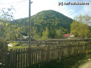 [P02] Greşu » foto by Yersinia Pestis
 - 
<span class="allrVoted glyphicon glyphicon-heart hidden" id="av375780"></span>
<a class="m-l-10 hidden" id="sv375780" onclick="voting_Foto_DelVot(,375780,17524)" role="button">șterge vot <span class="glyphicon glyphicon-remove"></span></a>
<a id="v9375780" class=" c-red"  onclick="voting_Foto_SetVot(375780)" role="button"><span class="glyphicon glyphicon-heart-empty"></span> <b>LIKE</b> = Votează poza</a> <img class="hidden"  id="f375780W9" src="/imagini/loader.gif" border="0" /><span class="AjErrMes hidden" id="e375780ErM"></span>