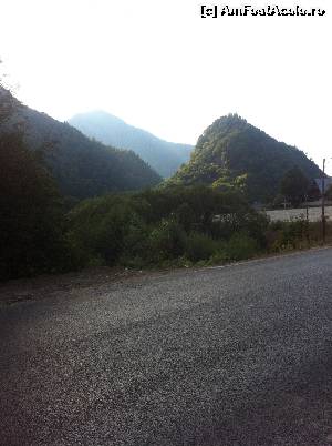 [P13] Intrarea în Lepșa » foto by Yersinia Pestis
 - 
<span class="allrVoted glyphicon glyphicon-heart hidden" id="av555398"></span>
<a class="m-l-10 hidden" id="sv555398" onclick="voting_Foto_DelVot(,555398,17524)" role="button">șterge vot <span class="glyphicon glyphicon-remove"></span></a>
<a id="v9555398" class=" c-red"  onclick="voting_Foto_SetVot(555398)" role="button"><span class="glyphicon glyphicon-heart-empty"></span> <b>LIKE</b> = Votează poza</a> <img class="hidden"  id="f555398W9" src="/imagini/loader.gif" border="0" /><span class="AjErrMes hidden" id="e555398ErM"></span>