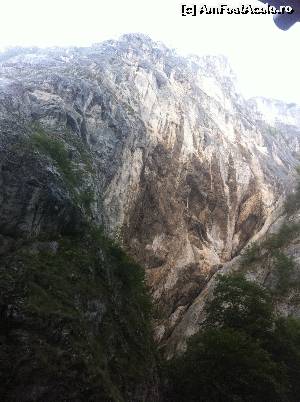 [P28] Afară, la Cheile Râșnoavei » foto by Yersinia Pestis
 - 
<span class="allrVoted glyphicon glyphicon-heart hidden" id="av555413"></span>
<a class="m-l-10 hidden" id="sv555413" onclick="voting_Foto_DelVot(,555413,17524)" role="button">șterge vot <span class="glyphicon glyphicon-remove"></span></a>
<a id="v9555413" class=" c-red"  onclick="voting_Foto_SetVot(555413)" role="button"><span class="glyphicon glyphicon-heart-empty"></span> <b>LIKE</b> = Votează poza</a> <img class="hidden"  id="f555413W9" src="/imagini/loader.gif" border="0" /><span class="AjErrMes hidden" id="e555413ErM"></span>