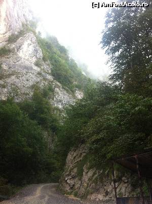[P29] Urcăm!  » foto by Yersinia Pestis
 - 
<span class="allrVoted glyphicon glyphicon-heart hidden" id="av555414"></span>
<a class="m-l-10 hidden" id="sv555414" onclick="voting_Foto_DelVot(,555414,17524)" role="button">șterge vot <span class="glyphicon glyphicon-remove"></span></a>
<a id="v9555414" class=" c-red"  onclick="voting_Foto_SetVot(555414)" role="button"><span class="glyphicon glyphicon-heart-empty"></span> <b>LIKE</b> = Votează poza</a> <img class="hidden"  id="f555414W9" src="/imagini/loader.gif" border="0" /><span class="AjErrMes hidden" id="e555414ErM"></span>