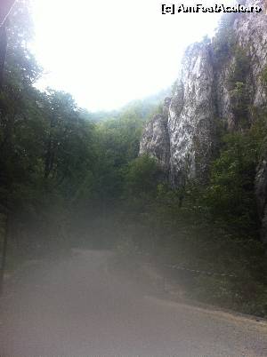 [P30] Băi, ce ploua!  » foto by Yersinia Pestis
 - 
<span class="allrVoted glyphicon glyphicon-heart hidden" id="av555415"></span>
<a class="m-l-10 hidden" id="sv555415" onclick="voting_Foto_DelVot(,555415,17524)" role="button">șterge vot <span class="glyphicon glyphicon-remove"></span></a>
<a id="v9555415" class=" c-red"  onclick="voting_Foto_SetVot(555415)" role="button"><span class="glyphicon glyphicon-heart-empty"></span> <b>LIKE</b> = Votează poza</a> <img class="hidden"  id="f555415W9" src="/imagini/loader.gif" border="0" /><span class="AjErrMes hidden" id="e555415ErM"></span>