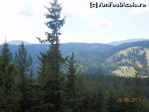 [P02] de pe la jumătatea drumului spre Vf. Dealul Negru se văd, în zare, între brazi : Vf. Goru, la stânga : releul stației de pe Lăcăuți » foto by Yersinia Pestis
 - 
<span class="allrVoted glyphicon glyphicon-heart hidden" id="av660635"></span>
<a class="m-l-10 hidden" id="sv660635" onclick="voting_Foto_DelVot(,660635,17524)" role="button">șterge vot <span class="glyphicon glyphicon-remove"></span></a>
<a id="v9660635" class=" c-red"  onclick="voting_Foto_SetVot(660635)" role="button"><span class="glyphicon glyphicon-heart-empty"></span> <b>LIKE</b> = Votează poza</a> <img class="hidden"  id="f660635W9" src="/imagini/loader.gif" border="0" /><span class="AjErrMes hidden" id="e660635ErM"></span>