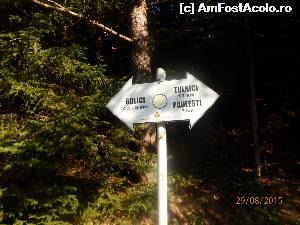 [P21] Indicator turistic pe drumul forestier Păulești - Golici » foto by Yersinia Pestis
 - 
<span class="allrVoted glyphicon glyphicon-heart hidden" id="av660654"></span>
<a class="m-l-10 hidden" id="sv660654" onclick="voting_Foto_DelVot(,660654,17524)" role="button">șterge vot <span class="glyphicon glyphicon-remove"></span></a>
<a id="v9660654" class=" c-red"  onclick="voting_Foto_SetVot(660654)" role="button"><span class="glyphicon glyphicon-heart-empty"></span> <b>LIKE</b> = Votează poza</a> <img class="hidden"  id="f660654W9" src="/imagini/loader.gif" border="0" /><span class="AjErrMes hidden" id="e660654ErM"></span>