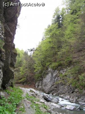 [P51] Cheile Tișiței » foto by Yersinia Pestis <span class="label label-default labelC_thin small">NEVOTABILĂ</span>