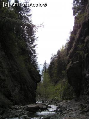 [P52] Cheile Tișiței » foto by Yersinia Pestis <span class="label label-default labelC_thin small">NEVOTABILĂ</span>