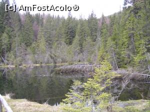 [P59] Lacul Negru- primăvara » foto by Yersinia Pestis <span class="label label-default labelC_thin small">NEVOTABILĂ</span>