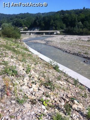 [P63] Zăbala, la Paltin » foto by Yersinia Pestis <span class="label label-default labelC_thin small">NEVOTABILĂ</span>
