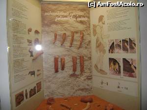 [P06] Limenas, Thassos - Muzeul de Arheologie » foto by biancuta
 - 
<span class="allrVoted glyphicon glyphicon-heart hidden" id="av525453"></span>
<a class="m-l-10 hidden" id="sv525453" onclick="voting_Foto_DelVot(,525453,17584)" role="button">șterge vot <span class="glyphicon glyphicon-remove"></span></a>
<a id="v9525453" class=" c-red"  onclick="voting_Foto_SetVot(525453)" role="button"><span class="glyphicon glyphicon-heart-empty"></span> <b>LIKE</b> = Votează poza</a> <img class="hidden"  id="f525453W9" src="/imagini/loader.gif" border="0" /><span class="AjErrMes hidden" id="e525453ErM"></span>
