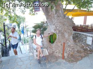 [P06] Panagia - Platanii ce străjuiesc piațeta pietruita, cu scorburi în formă de inimă » foto by Daisy Petal
 - 
<span class="allrVoted glyphicon glyphicon-heart hidden" id="av1108227"></span>
<a class="m-l-10 hidden" id="sv1108227" onclick="voting_Foto_DelVot(,1108227,17592)" role="button">șterge vot <span class="glyphicon glyphicon-remove"></span></a>
<a id="v91108227" class=" c-red"  onclick="voting_Foto_SetVot(1108227)" role="button"><span class="glyphicon glyphicon-heart-empty"></span> <b>LIKE</b> = Votează poza</a> <img class="hidden"  id="f1108227W9" src="/imagini/loader.gif" border="0" /><span class="AjErrMes hidden" id="e1108227ErM"></span>