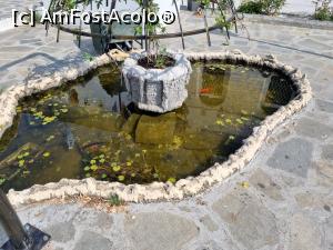 [P19] havuzul cu pești din curtea bisericii » foto by Nobodyforever
 - 
<span class="allrVoted glyphicon glyphicon-heart hidden" id="av1323460"></span>
<a class="m-l-10 hidden" id="sv1323460" onclick="voting_Foto_DelVot(,1323460,17592)" role="button">șterge vot <span class="glyphicon glyphicon-remove"></span></a>
<a id="v91323460" class=" c-red"  onclick="voting_Foto_SetVot(1323460)" role="button"><span class="glyphicon glyphicon-heart-empty"></span> <b>LIKE</b> = Votează poza</a> <img class="hidden"  id="f1323460W9" src="/imagini/loader.gif" border="0" /><span class="AjErrMes hidden" id="e1323460ErM"></span>