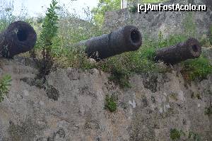 [P31] Guri de foc pe zidurile Fortului » foto by Ioan Raita
 - 
<span class="allrVoted glyphicon glyphicon-heart hidden" id="av574848"></span>
<a class="m-l-10 hidden" id="sv574848" onclick="voting_Foto_DelVot(,574848,17593)" role="button">șterge vot <span class="glyphicon glyphicon-remove"></span></a>
<a id="v9574848" class=" c-red"  onclick="voting_Foto_SetVot(574848)" role="button"><span class="glyphicon glyphicon-heart-empty"></span> <b>LIKE</b> = Votează poza</a> <img class="hidden"  id="f574848W9" src="/imagini/loader.gif" border="0" /><span class="AjErrMes hidden" id="e574848ErM"></span>