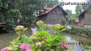 [P67] Tulburătorul Rastoke » foto by crismis
 - 
<span class="allrVoted glyphicon glyphicon-heart hidden" id="av667592"></span>
<a class="m-l-10 hidden" id="sv667592" onclick="voting_Foto_DelVot(,667592,17597)" role="button">șterge vot <span class="glyphicon glyphicon-remove"></span></a>
<a id="v9667592" class=" c-red"  onclick="voting_Foto_SetVot(667592)" role="button"><span class="glyphicon glyphicon-heart-empty"></span> <b>LIKE</b> = Votează poza</a> <img class="hidden"  id="f667592W9" src="/imagini/loader.gif" border="0" /><span class="AjErrMes hidden" id="e667592ErM"></span>