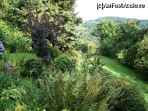 [P15] peisajul pe care il vad din curte, stand la terasa » foto by mireille
 - 
<span class="allrVoted glyphicon glyphicon-heart hidden" id="av565602"></span>
<a class="m-l-10 hidden" id="sv565602" onclick="voting_Foto_DelVot(,565602,17625)" role="button">șterge vot <span class="glyphicon glyphicon-remove"></span></a>
<a id="v9565602" class=" c-red"  onclick="voting_Foto_SetVot(565602)" role="button"><span class="glyphicon glyphicon-heart-empty"></span> <b>LIKE</b> = Votează poza</a> <img class="hidden"  id="f565602W9" src="/imagini/loader.gif" border="0" /><span class="AjErrMes hidden" id="e565602ErM"></span>