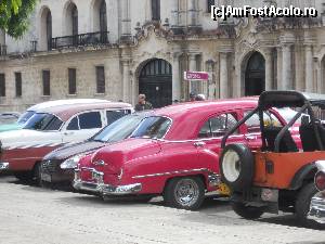 [P01] Havana » foto by andreeaH
 - 
<span class="allrVoted glyphicon glyphicon-heart hidden" id="av585734"></span>
<a class="m-l-10 hidden" id="sv585734" onclick="voting_Foto_DelVot(,585734,17893)" role="button">șterge vot <span class="glyphicon glyphicon-remove"></span></a>
<a id="v9585734" class=" c-red"  onclick="voting_Foto_SetVot(585734)" role="button"><span class="glyphicon glyphicon-heart-empty"></span> <b>LIKE</b> = Votează poza</a> <img class="hidden"  id="f585734W9" src="/imagini/loader.gif" border="0" /><span class="AjErrMes hidden" id="e585734ErM"></span>
