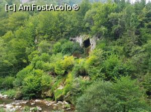 [P40] Cascada Cârșa.  » foto by Floryn81
 - 
<span class="allrVoted glyphicon glyphicon-heart hidden" id="av1118532"></span>
<a class="m-l-10 hidden" id="sv1118532" onclick="voting_Foto_DelVot(,1118532,17936)" role="button">șterge vot <span class="glyphicon glyphicon-remove"></span></a>
<a id="v91118532" class=" c-red"  onclick="voting_Foto_SetVot(1118532)" role="button"><span class="glyphicon glyphicon-heart-empty"></span> <b>LIKE</b> = Votează poza</a> <img class="hidden"  id="f1118532W9" src="/imagini/loader.gif" border="0" /><span class="AjErrMes hidden" id="e1118532ErM"></span>