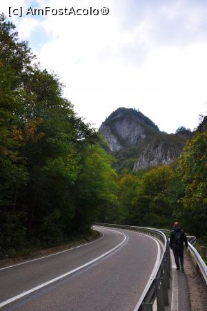 [P02] Cărarea spre Cascada Bigăr, dinspre parcarea auto din aval » foto by Dragoș_MD
 - 
<span class="allrVoted glyphicon glyphicon-heart hidden" id="av1197518"></span>
<a class="m-l-10 hidden" id="sv1197518" onclick="voting_Foto_DelVot(,1197518,17936)" role="button">șterge vot <span class="glyphicon glyphicon-remove"></span></a>
<a id="v91197518" class=" c-red"  onclick="voting_Foto_SetVot(1197518)" role="button"><span class="glyphicon glyphicon-heart-empty"></span> <b>LIKE</b> = Votează poza</a> <img class="hidden"  id="f1197518W9" src="/imagini/loader.gif" border="0" /><span class="AjErrMes hidden" id="e1197518ErM"></span>