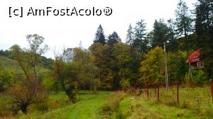 [P21] Pajiște în apropierea fostei tabere școlare Valea Minișului » foto by Dragoș_MD
 - 
<span class="allrVoted glyphicon glyphicon-heart hidden" id="av1197537"></span>
<a class="m-l-10 hidden" id="sv1197537" onclick="voting_Foto_DelVot(,1197537,17936)" role="button">șterge vot <span class="glyphicon glyphicon-remove"></span></a>
<a id="v91197537" class=" c-red"  onclick="voting_Foto_SetVot(1197537)" role="button"><span class="glyphicon glyphicon-heart-empty"></span> <b>LIKE</b> = Votează poza</a> <img class="hidden"  id="f1197537W9" src="/imagini/loader.gif" border="0" /><span class="AjErrMes hidden" id="e1197537ErM"></span>