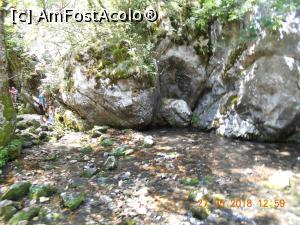 [P19] de sub acestă stâncă izvorăşte Bigărul » foto by zlatna
 - 
<span class="allrVoted glyphicon glyphicon-heart hidden" id="av1059077"></span>
<a class="m-l-10 hidden" id="sv1059077" onclick="voting_Foto_DelVot(,1059077,17936)" role="button">șterge vot <span class="glyphicon glyphicon-remove"></span></a>
<a id="v91059077" class=" c-red"  onclick="voting_Foto_SetVot(1059077)" role="button"><span class="glyphicon glyphicon-heart-empty"></span> <b>LIKE</b> = Votează poza</a> <img class="hidden"  id="f1059077W9" src="/imagini/loader.gif" border="0" /><span class="AjErrMes hidden" id="e1059077ErM"></span>