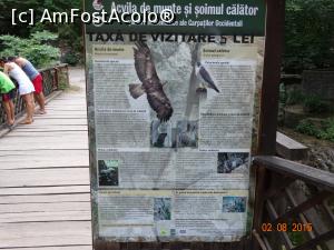 [P03] Cascada Bigãr. O “joacã” a naturii. Acvile n-am vazut prin zona, dar nici taxa de vizitare n-am platit-o. Probabil am prins ziua de 'free entry' :)) » foto by vega06
 - 
<span class="allrVoted glyphicon glyphicon-heart hidden" id="av729983"></span>
<a class="m-l-10 hidden" id="sv729983" onclick="voting_Foto_DelVot(,729983,17936)" role="button">șterge vot <span class="glyphicon glyphicon-remove"></span></a>
<a id="v9729983" class=" c-red"  onclick="voting_Foto_SetVot(729983)" role="button"><span class="glyphicon glyphicon-heart-empty"></span> <b>LIKE</b> = Votează poza</a> <img class="hidden"  id="f729983W9" src="/imagini/loader.gif" border="0" /><span class="AjErrMes hidden" id="e729983ErM"></span>