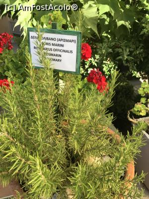 [P24] Prin grădină, Sentido » foto by krisstinna
 - 
<span class="allrVoted glyphicon glyphicon-heart hidden" id="av881793"></span>
<a class="m-l-10 hidden" id="sv881793" onclick="voting_Foto_DelVot(,881793,17973)" role="button">șterge vot <span class="glyphicon glyphicon-remove"></span></a>
<a id="v9881793" class=" c-red"  onclick="voting_Foto_SetVot(881793)" role="button"><span class="glyphicon glyphicon-heart-empty"></span> <b>LIKE</b> = Votează poza</a> <img class="hidden"  id="f881793W9" src="/imagini/loader.gif" border="0" /><span class="AjErrMes hidden" id="e881793ErM"></span>