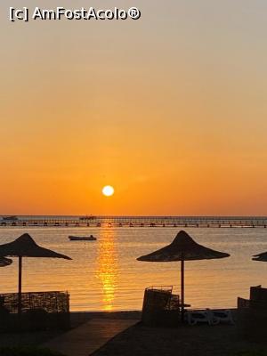 [P03]  -- <small>// FĂRĂ DESCRIERE</small> » foto by AdrianT60*
 - 
<span class="allrVoted glyphicon glyphicon-heart hidden" id="av1361429"></span>
<a class="m-l-10 hidden" id="sv1361429" onclick="voting_Foto_DelVot(,1361429,18012)" role="button">șterge vot <span class="glyphicon glyphicon-remove"></span></a>
<a id="v91361429" class=" c-red"  onclick="voting_Foto_SetVot(1361429)" role="button"><span class="glyphicon glyphicon-heart-empty"></span> <b>LIKE</b> = Votează poza</a> <img class="hidden"  id="f1361429W9" src="/imagini/loader.gif" border="0" /><span class="AjErrMes hidden" id="e1361429ErM"></span>