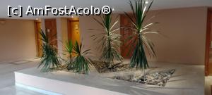 [P34] Aranjament vegetal la etajul 4. » foto by ovidiuyepi
 - 
<span class="allrVoted glyphicon glyphicon-heart hidden" id="av1358169"></span>
<a class="m-l-10 hidden" id="sv1358169" onclick="voting_Foto_DelVot(,1358169,18013)" role="button">șterge vot <span class="glyphicon glyphicon-remove"></span></a>
<a id="v91358169" class=" c-red"  onclick="voting_Foto_SetVot(1358169)" role="button"><span class="glyphicon glyphicon-heart-empty"></span> <b>LIKE</b> = Votează poza</a> <img class="hidden"  id="f1358169W9" src="/imagini/loader.gif" border="0" /><span class="AjErrMes hidden" id="e1358169ErM"></span>