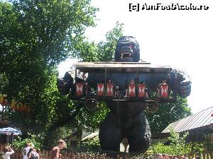 [P23] Prietenul meu, King Kong...  » foto by Larissa
 - 
<span class="allrVoted glyphicon glyphicon-heart hidden" id="av593817"></span>
<a class="m-l-10 hidden" id="sv593817" onclick="voting_Foto_DelVot(,593817,18073)" role="button">șterge vot <span class="glyphicon glyphicon-remove"></span></a>
<a id="v9593817" class=" c-red"  onclick="voting_Foto_SetVot(593817)" role="button"><span class="glyphicon glyphicon-heart-empty"></span> <b>LIKE</b> = Votează poza</a> <img class="hidden"  id="f593817W9" src="/imagini/loader.gif" border="0" /><span class="AjErrMes hidden" id="e593817ErM"></span>