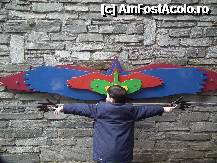 [P04] Comparatie cu deschidere aripilor » foto by alexionescu
 - 
<span class="allrVoted glyphicon glyphicon-heart hidden" id="av290586"></span>
<a class="m-l-10 hidden" id="sv290586" onclick="voting_Foto_DelVot(,290586,18084)" role="button">șterge vot <span class="glyphicon glyphicon-remove"></span></a>
<a id="v9290586" class=" c-red"  onclick="voting_Foto_SetVot(290586)" role="button"><span class="glyphicon glyphicon-heart-empty"></span> <b>LIKE</b> = Votează poza</a> <img class="hidden"  id="f290586W9" src="/imagini/loader.gif" border="0" /><span class="AjErrMes hidden" id="e290586ErM"></span>