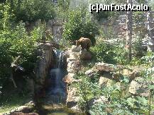 [P12] Acest peisaj il puteti intalni doar la Alpen Zoo din Innsbruck » foto by Alina Morar
 - 
<span class="allrVoted glyphicon glyphicon-heart hidden" id="av170322"></span>
<a class="m-l-10 hidden" id="sv170322" onclick="voting_Foto_DelVot(,170322,18084)" role="button">șterge vot <span class="glyphicon glyphicon-remove"></span></a>
<a id="v9170322" class=" c-red"  onclick="voting_Foto_SetVot(170322)" role="button"><span class="glyphicon glyphicon-heart-empty"></span> <b>LIKE</b> = Votează poza</a> <img class="hidden"  id="f170322W9" src="/imagini/loader.gif" border="0" /><span class="AjErrMes hidden" id="e170322ErM"></span>
