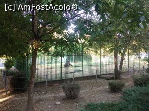 [P19] Zoo Pitești, ursul » foto by Mioritik
 - 
<span class="allrVoted glyphicon glyphicon-heart hidden" id="av1363385"></span>
<a class="m-l-10 hidden" id="sv1363385" onclick="voting_Foto_DelVot(,1363385,18092)" role="button">șterge vot <span class="glyphicon glyphicon-remove"></span></a>
<a id="v91363385" class=" c-red"  onclick="voting_Foto_SetVot(1363385)" role="button"><span class="glyphicon glyphicon-heart-empty"></span> <b>LIKE</b> = Votează poza</a> <img class="hidden"  id="f1363385W9" src="/imagini/loader.gif" border="0" /><span class="AjErrMes hidden" id="e1363385ErM"></span>