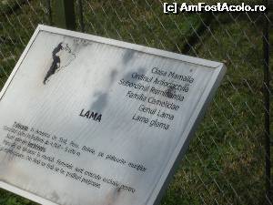 [P03] Aria de raspandire a lamei este in America de Sud si in gradinile zoo ale lumii!  » foto by Dan&Ema
 - 
<span class="allrVoted glyphicon glyphicon-heart hidden" id="av681677"></span>
<a class="m-l-10 hidden" id="sv681677" onclick="voting_Foto_DelVot(,681677,18092)" role="button">șterge vot <span class="glyphicon glyphicon-remove"></span></a>
<a id="v9681677" class=" c-red"  onclick="voting_Foto_SetVot(681677)" role="button"><span class="glyphicon glyphicon-heart-empty"></span> <b>LIKE</b> = Votează poza</a> <img class="hidden"  id="f681677W9" src="/imagini/loader.gif" border="0" /><span class="AjErrMes hidden" id="e681677ErM"></span>