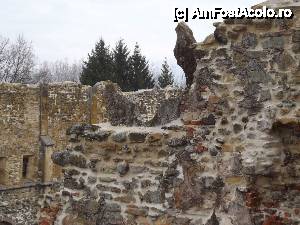 [P17] Mânăstirea cisterciană Cârța - detaliu ancadrament de piatră al unui vitraliu » foto by Dragoș_MD
 - 
<span class="allrVoted glyphicon glyphicon-heart hidden" id="av498182"></span>
<a class="m-l-10 hidden" id="sv498182" onclick="voting_Foto_DelVot(,498182,18101)" role="button">șterge vot <span class="glyphicon glyphicon-remove"></span></a>
<a id="v9498182" class=" c-red"  onclick="voting_Foto_SetVot(498182)" role="button"><span class="glyphicon glyphicon-heart-empty"></span> <b>LIKE</b> = Votează poza</a> <img class="hidden"  id="f498182W9" src="/imagini/loader.gif" border="0" /><span class="AjErrMes hidden" id="e498182ErM"></span>
