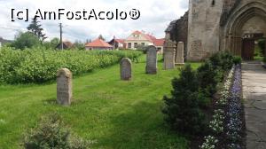 [P15] Abația Cisterciană Cârța - parte din curtea bisericii (plantația de coacăzi)  » foto by costy69*
 - 
<span class="allrVoted glyphicon glyphicon-heart hidden" id="av756218"></span>
<a class="m-l-10 hidden" id="sv756218" onclick="voting_Foto_DelVot(,756218,18101)" role="button">șterge vot <span class="glyphicon glyphicon-remove"></span></a>
<a id="v9756218" class=" c-red"  onclick="voting_Foto_SetVot(756218)" role="button"><span class="glyphicon glyphicon-heart-empty"></span> <b>LIKE</b> = Votează poza</a> <img class="hidden"  id="f756218W9" src="/imagini/loader.gif" border="0" /><span class="AjErrMes hidden" id="e756218ErM"></span>