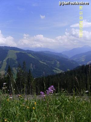 [P29]  -- <small>// FĂRĂ DESCRIERE</small> » foto by Alina53
 - 
<span class="allrVoted glyphicon glyphicon-heart hidden" id="av598748"></span>
<a class="m-l-10 hidden" id="sv598748" onclick="voting_Foto_DelVot(,598748,18132)" role="button">șterge vot <span class="glyphicon glyphicon-remove"></span></a>
<a id="v9598748" class=" c-red"  onclick="voting_Foto_SetVot(598748)" role="button"><span class="glyphicon glyphicon-heart-empty"></span> <b>LIKE</b> = Votează poza</a> <img class="hidden"  id="f598748W9" src="/imagini/loader.gif" border="0" /><span class="AjErrMes hidden" id="e598748ErM"></span>