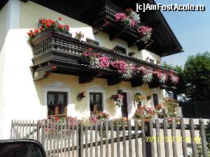 [P55] Flori și iar flori » foto by Alina53
 - 
<span class="allrVoted glyphicon glyphicon-heart hidden" id="av598774"></span>
<a class="m-l-10 hidden" id="sv598774" onclick="voting_Foto_DelVot(,598774,18132)" role="button">șterge vot <span class="glyphicon glyphicon-remove"></span></a>
<a id="v9598774" class=" c-red"  onclick="voting_Foto_SetVot(598774)" role="button"><span class="glyphicon glyphicon-heart-empty"></span> <b>LIKE</b> = Votează poza</a> <img class="hidden"  id="f598774W9" src="/imagini/loader.gif" border="0" /><span class="AjErrMes hidden" id="e598774ErM"></span>