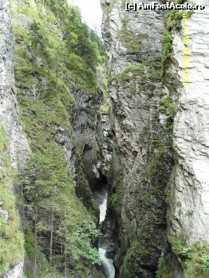 [P22] Făcându-și loc printre stânci abrupte » foto by Alina53
 - 
<span class="allrVoted glyphicon glyphicon-heart hidden" id="av601156"></span>
<a class="m-l-10 hidden" id="sv601156" onclick="voting_Foto_DelVot(,601156,18132)" role="button">șterge vot <span class="glyphicon glyphicon-remove"></span></a>
<a id="v9601156" class=" c-red"  onclick="voting_Foto_SetVot(601156)" role="button"><span class="glyphicon glyphicon-heart-empty"></span> <b>LIKE</b> = Votează poza</a> <img class="hidden"  id="f601156W9" src="/imagini/loader.gif" border="0" /><span class="AjErrMes hidden" id="e601156ErM"></span>