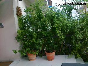 [P11] Străjerii de-a dreapta...  » foto by Lyssys
 - 
<span class="allrVoted glyphicon glyphicon-heart hidden" id="av599285"></span>
<a class="m-l-10 hidden" id="sv599285" onclick="voting_Foto_DelVot(,599285,18139)" role="button">șterge vot <span class="glyphicon glyphicon-remove"></span></a>
<a id="v9599285" class=" c-red"  onclick="voting_Foto_SetVot(599285)" role="button"><span class="glyphicon glyphicon-heart-empty"></span> <b>LIKE</b> = Votează poza</a> <img class="hidden"  id="f599285W9" src="/imagini/loader.gif" border="0" /><span class="AjErrMes hidden" id="e599285ErM"></span>