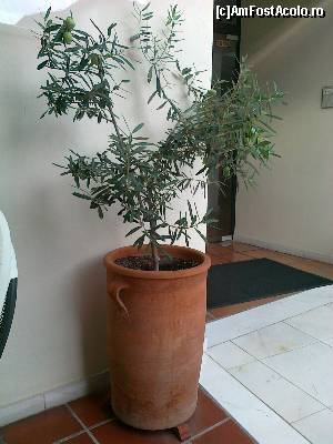 [P12] ... Și de-a stânga intrării » foto by Lyssys
 - 
<span class="allrVoted glyphicon glyphicon-heart hidden" id="av599286"></span>
<a class="m-l-10 hidden" id="sv599286" onclick="voting_Foto_DelVot(,599286,18139)" role="button">șterge vot <span class="glyphicon glyphicon-remove"></span></a>
<a id="v9599286" class=" c-red"  onclick="voting_Foto_SetVot(599286)" role="button"><span class="glyphicon glyphicon-heart-empty"></span> <b>LIKE</b> = Votează poza</a> <img class="hidden"  id="f599286W9" src="/imagini/loader.gif" border="0" /><span class="AjErrMes hidden" id="e599286ErM"></span>