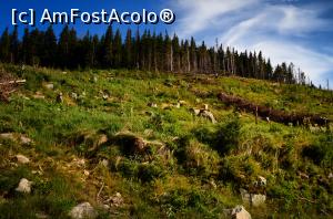 [P23] Zona Cucurbăta Mică » foto by Remicade
 - 
<span class="allrVoted glyphicon glyphicon-heart hidden" id="av770403"></span>
<a class="m-l-10 hidden" id="sv770403" onclick="voting_Foto_DelVot(,770403,18142)" role="button">șterge vot <span class="glyphicon glyphicon-remove"></span></a>
<a id="v9770403" class=" c-red"  onclick="voting_Foto_SetVot(770403)" role="button"><span class="glyphicon glyphicon-heart-empty"></span> <b>LIKE</b> = Votează poza</a> <img class="hidden"  id="f770403W9" src="/imagini/loader.gif" border="0" /><span class="AjErrMes hidden" id="e770403ErM"></span>