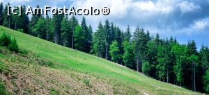 [P41] Spre varful Piatra Graitoare » foto by Remicade
 - 
<span class="allrVoted glyphicon glyphicon-heart hidden" id="av770778"></span>
<a class="m-l-10 hidden" id="sv770778" onclick="voting_Foto_DelVot(,770778,18142)" role="button">șterge vot <span class="glyphicon glyphicon-remove"></span></a>
<a id="v9770778" class=" c-red"  onclick="voting_Foto_SetVot(770778)" role="button"><span class="glyphicon glyphicon-heart-empty"></span> <b>LIKE</b> = Votează poza</a> <img class="hidden"  id="f770778W9" src="/imagini/loader.gif" border="0" /><span class="AjErrMes hidden" id="e770778ErM"></span>