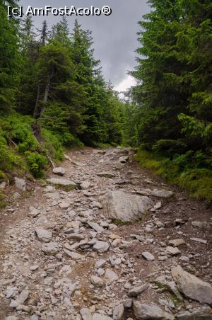 [P45]  -- <small>// FĂRĂ DESCRIERE</small> » foto by Remicade
 - 
<span class="allrVoted glyphicon glyphicon-heart hidden" id="av770782"></span>
<a class="m-l-10 hidden" id="sv770782" onclick="voting_Foto_DelVot(,770782,18142)" role="button">șterge vot <span class="glyphicon glyphicon-remove"></span></a>
<a id="v9770782" class=" c-red"  onclick="voting_Foto_SetVot(770782)" role="button"><span class="glyphicon glyphicon-heart-empty"></span> <b>LIKE</b> = Votează poza</a> <img class="hidden"  id="f770782W9" src="/imagini/loader.gif" border="0" /><span class="AjErrMes hidden" id="e770782ErM"></span>