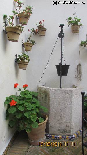 [P24] Al doilea patio, unde se serveşte vara micul-dejun » foto by crismis
 - 
<span class="allrVoted glyphicon glyphicon-heart hidden" id="av601229"></span>
<a class="m-l-10 hidden" id="sv601229" onclick="voting_Foto_DelVot(,601229,18161)" role="button">șterge vot <span class="glyphicon glyphicon-remove"></span></a>
<a id="v9601229" class=" c-red"  onclick="voting_Foto_SetVot(601229)" role="button"><span class="glyphicon glyphicon-heart-empty"></span> <b>LIKE</b> = Votează poza</a> <img class="hidden"  id="f601229W9" src="/imagini/loader.gif" border="0" /><span class="AjErrMes hidden" id="e601229ErM"></span>
