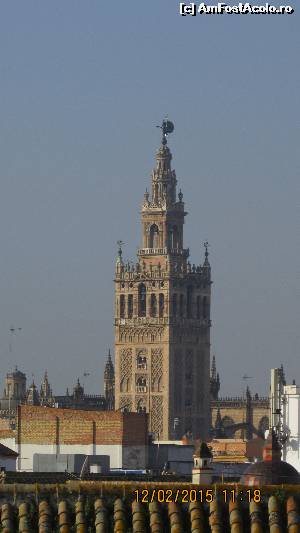 [P34] Turnul Giralda văzut de pe terasa de pe acoperiş (zoom)  » foto by crismis
 - 
<span class="allrVoted glyphicon glyphicon-heart hidden" id="av601239"></span>
<a class="m-l-10 hidden" id="sv601239" onclick="voting_Foto_DelVot(,601239,18161)" role="button">șterge vot <span class="glyphicon glyphicon-remove"></span></a>
<a id="v9601239" class=" c-red"  onclick="voting_Foto_SetVot(601239)" role="button"><span class="glyphicon glyphicon-heart-empty"></span> <b>LIKE</b> = Votează poza</a> <img class="hidden"  id="f601239W9" src="/imagini/loader.gif" border="0" /><span class="AjErrMes hidden" id="e601239ErM"></span>