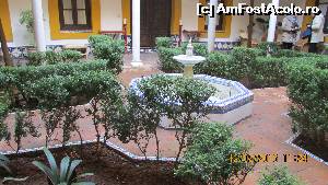 [P36] Al 3-lea patio » foto by crismis
 - 
<span class="allrVoted glyphicon glyphicon-heart hidden" id="av601241"></span>
<a class="m-l-10 hidden" id="sv601241" onclick="voting_Foto_DelVot(,601241,18161)" role="button">șterge vot <span class="glyphicon glyphicon-remove"></span></a>
<a id="v9601241" class=" c-red"  onclick="voting_Foto_SetVot(601241)" role="button"><span class="glyphicon glyphicon-heart-empty"></span> <b>LIKE</b> = Votează poza</a> <img class="hidden"  id="f601241W9" src="/imagini/loader.gif" border="0" /><span class="AjErrMes hidden" id="e601241ErM"></span>