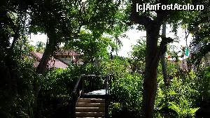 [P07] Lac artificial in fata hotelului Grand Palladium Palace » foto by dumitriu77
 - 
<span class="allrVoted glyphicon glyphicon-heart hidden" id="av604047"></span>
<a class="m-l-10 hidden" id="sv604047" onclick="voting_Foto_DelVot(,604047,18193)" role="button">șterge vot <span class="glyphicon glyphicon-remove"></span></a>
<a id="v9604047" class=" c-red"  onclick="voting_Foto_SetVot(604047)" role="button"><span class="glyphicon glyphicon-heart-empty"></span> <b>LIKE</b> = Votează poza</a> <img class="hidden"  id="f604047W9" src="/imagini/loader.gif" border="0" /><span class="AjErrMes hidden" id="e604047ErM"></span>