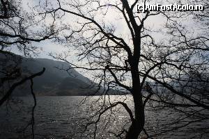 [P14] Prima privire asupra lacului Ullswater.  » foto by ariciu*
 - 
<span class="allrVoted glyphicon glyphicon-heart hidden" id="av607049"></span>
<a class="m-l-10 hidden" id="sv607049" onclick="voting_Foto_DelVot(,607049,18212)" role="button">șterge vot <span class="glyphicon glyphicon-remove"></span></a>
<a id="v9607049" class=" c-red"  onclick="voting_Foto_SetVot(607049)" role="button"><span class="glyphicon glyphicon-heart-empty"></span> <b>LIKE</b> = Votează poza</a> <img class="hidden"  id="f607049W9" src="/imagini/loader.gif" border="0" /><span class="AjErrMes hidden" id="e607049ErM"></span>